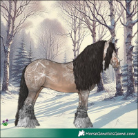 Horse Color:Brown Ice Dun 