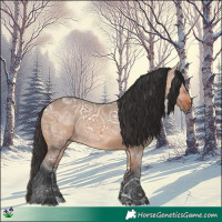 Horse Color:Bay Ice Dun 