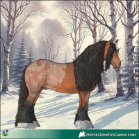 Horse Color:Bay Ice Rabicano