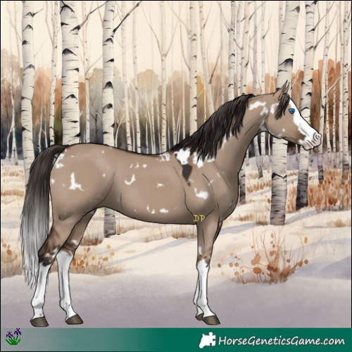 Horse Color:White Spotted Liver Red Dun Splash 