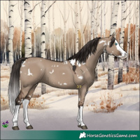 Horse Color:White Spotted Liver Red Dun Splash 