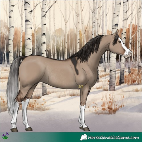 Horse Color:White Spotted Liver Red Dun Splash Rabicano