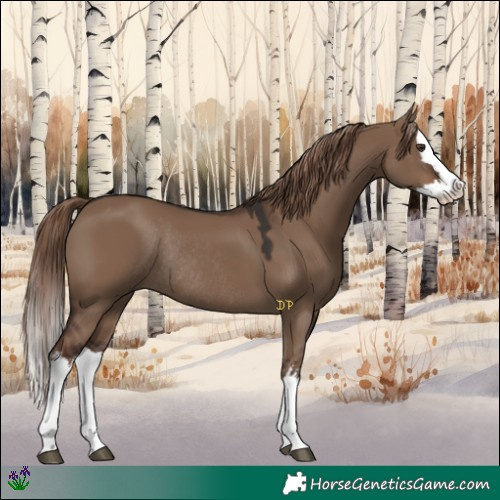 Horse Color:White Spotted Liver Red Dun Splash Rabicano