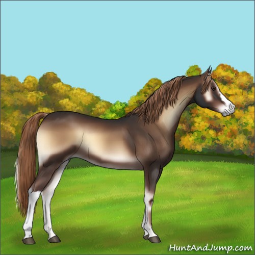 Horse Color:Liver Red Onyx 