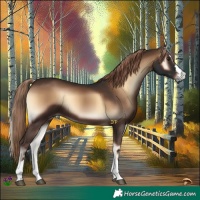 Horse Color:Liver Red Onyx