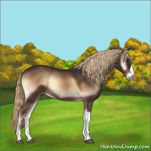 Horse Color:Liver Red Onyx 