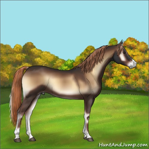 Horse Color:Liver Red Onyx 