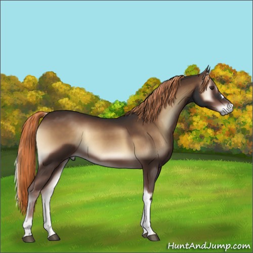 Horse Color:Liver Red Onyx 