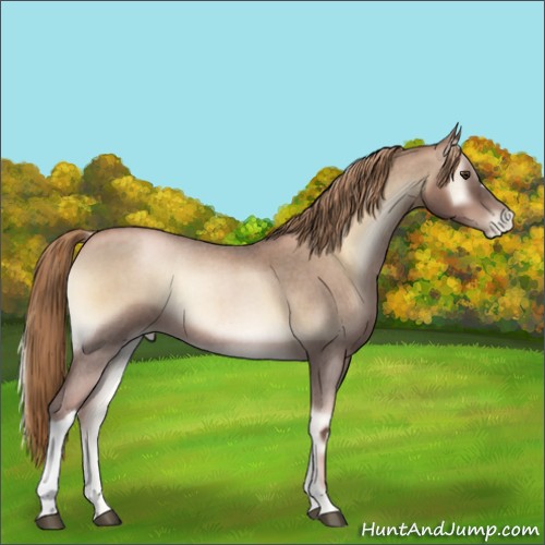Horse Color:Liver Red Onyx Roan Pearl 
