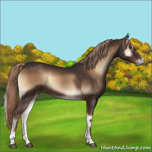 Horse Color:Liver Red Onyx 
