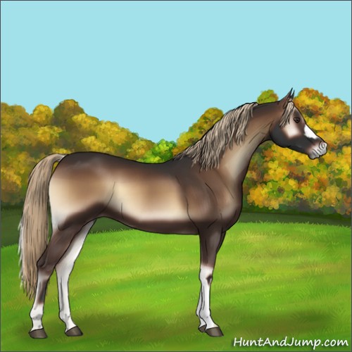 Horse Color:Liver Red Onyx 