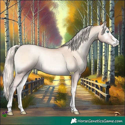 Horse Color:Gold Cream Champagne Pearl Onyx Rabicano