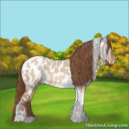 Horse Color:Red Dun Tobiano Appaloosa 