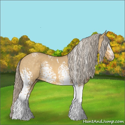 Horse Color:White Spotted Palomino Dun Tobiano 