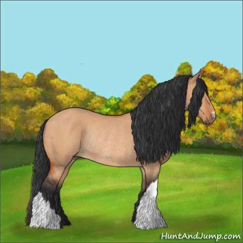 Horse Color:Bay Dun Rabicano 