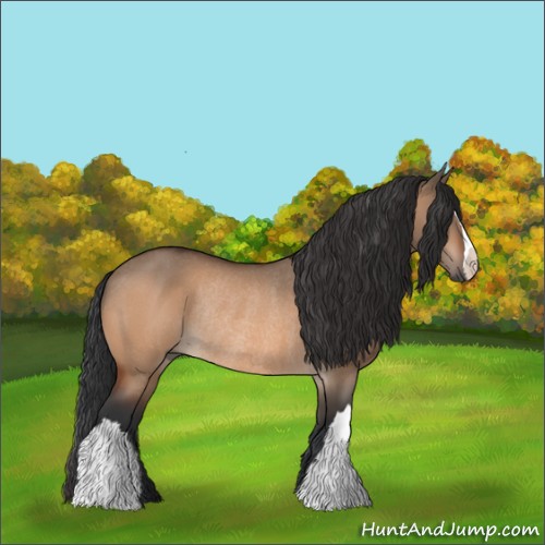 Horse Color:Bay Dun Rabicano 