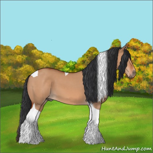 Horse Color:Brown Dun Tobiano 