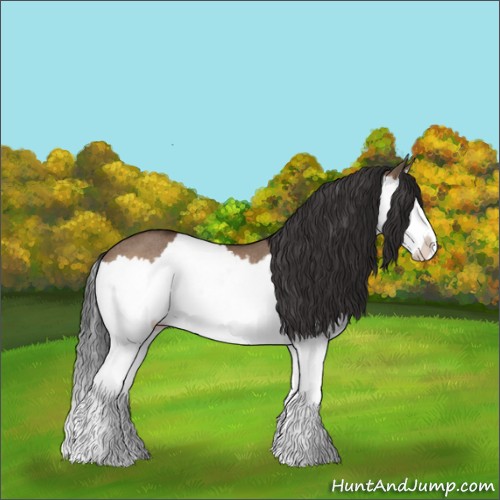 Horse Color:Bay Dun Splash Rabicano 