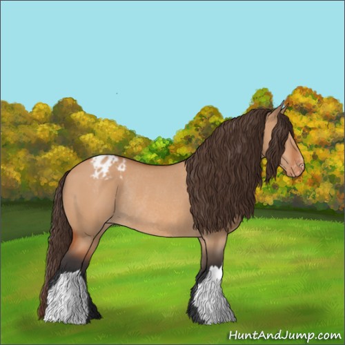Horse Color:Bay Dun Appaloosa Rabicano 