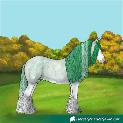 Horse Color:Watercolor White Spotted Bay Roan Splash 