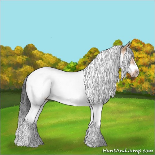 Horse Color:Bay Dun Splash Tobiano Frame Rabicano 