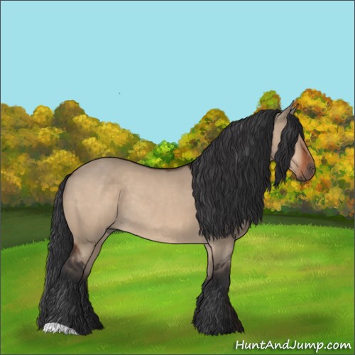 Horse Color:Brown Dun Rabicano 
