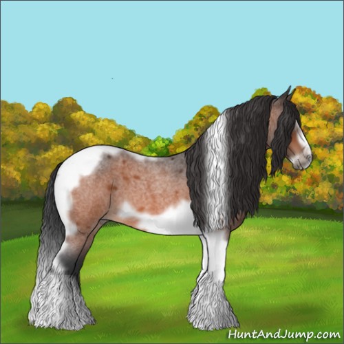 Horse Color:Bay Roan Splash Tobiano Frame 