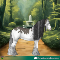 Horse Color:White Spotted Grullo Splash 