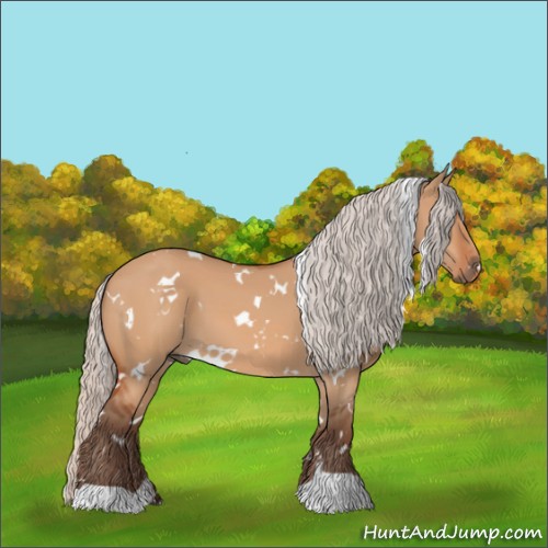 Horse Color:White Spotted Silver Bay Dun 