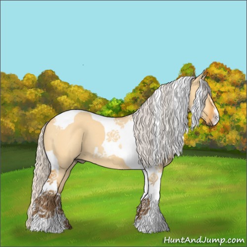Horse Color:Silver Buckskin Dun Tobiano 