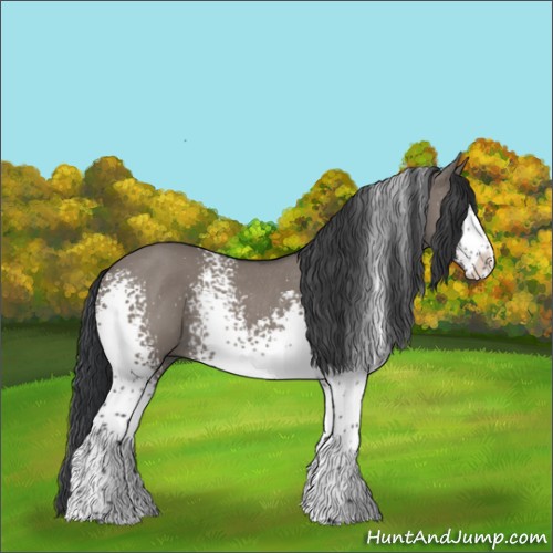 Horse Color:White Spotted Grullo Sabino Rabicano 