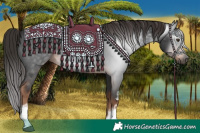 Horse Color:Gray White Spotted Liver Chestnut 