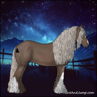 Horse Color:Silver Black 