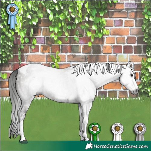 Horse Color:Gray White Spotted Grullo Tobiano Rabicano