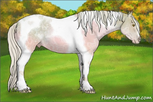 Horse Color:Watercolor Silver Brown Ice Pearl Tobiano 