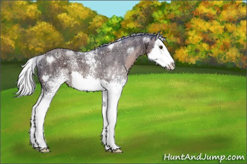 Horse Color:Watercolor White Spotted Silver Black Ice Pearl Splash 