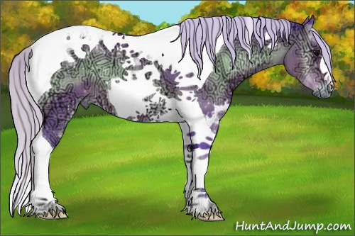 Horse Color:Watercolor Silver Brown Ice Onyx Tobiano 