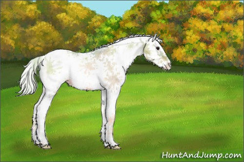 Horse Color:Watercolor White Spotted Silver Blue Onyx Ice Pearl 