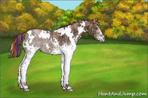 Horse Color:Painted White Spotted Liver Chestnut Ice Pearl 