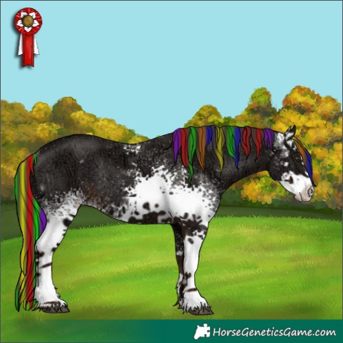 Horse Color:Painted White Spotted Liver Chestnut Ice Rabicano 