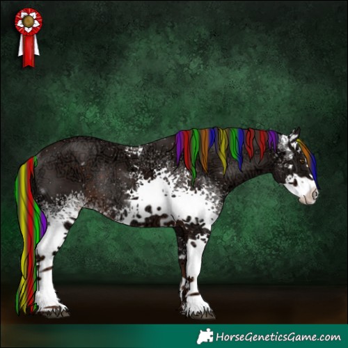 Horse Color:Painted White Spotted Liver Chestnut Ice Rabicano 