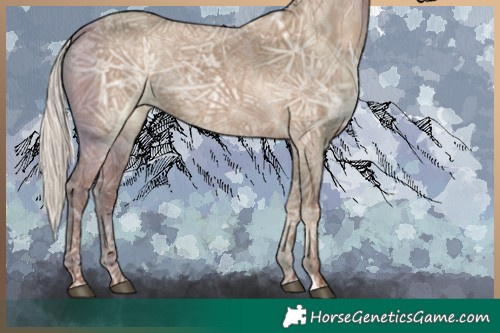 Horse Color:Silver Grullo Ice Rabicano 