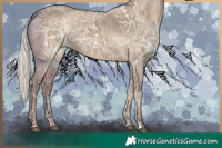 Horse Color:Silver Grullo Ice Rabicano 