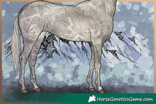 Horse Color:Silver Grullo Ice 