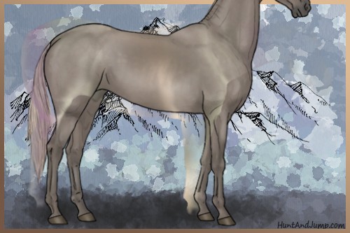 Horse Color:Silver Grullo 