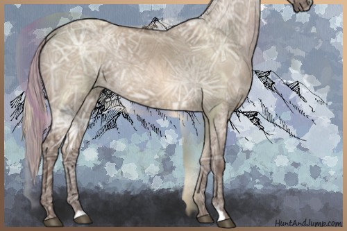 Horse Color:Silver Grullo Ice Rabicano 