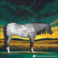 Horse Color:Blue Ice Roan