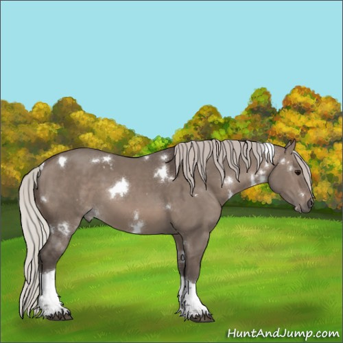 Horse Color:White Spotted Silver Grullo Tobiano 