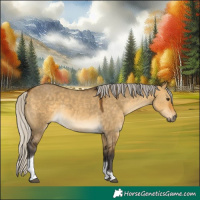 Horse Color:Silver Buckskin Dun Tobiano