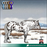 Horse Color:White Spotted Silver Brown Appaloosa 
